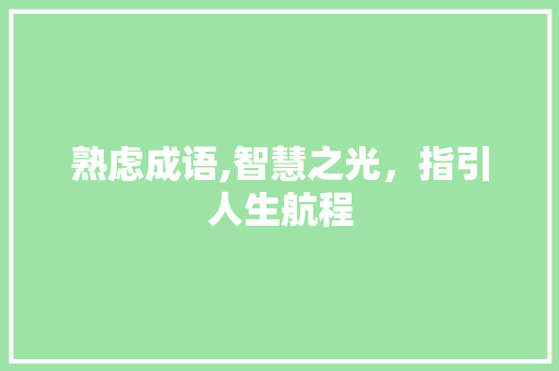 熟虑成语,智慧之光，指引人生航程