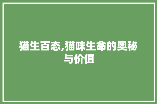 猫生百态,猫咪生命的奥秘与价值