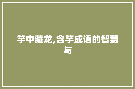 竽中藏龙,含竽成语的智慧与