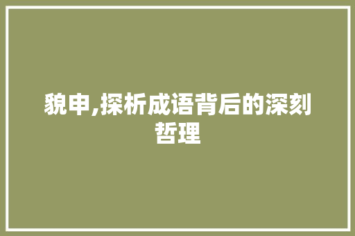 貌申,探析成语背后的深刻哲理