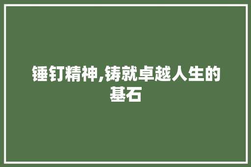 锤钉精神,铸就卓越人生的基石