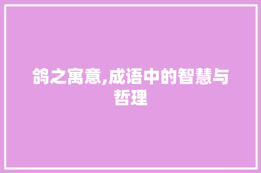 鸽之寓意,成语中的智慧与哲理