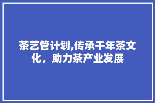 茶艺管计划,传承千年茶文化，助力茶产业发展