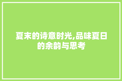 夏末的诗意时光,品味夏日的余韵与思考