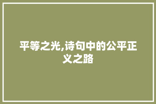 平等之光,诗句中的公平正义之路