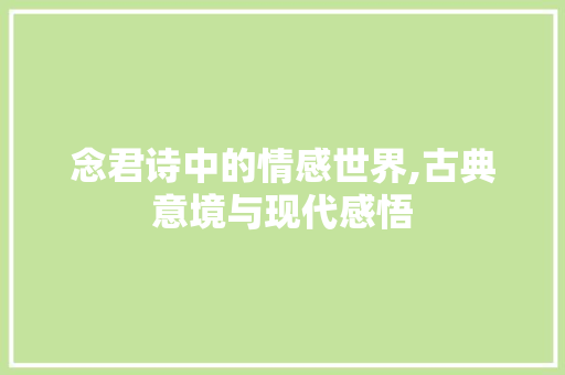 念君诗中的情感世界,古典意境与现代感悟 成语汇编