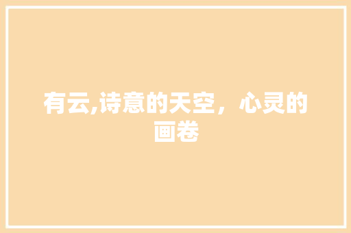 有云,诗意的天空，心灵的画卷