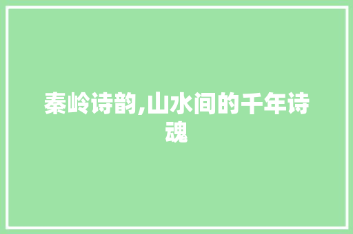 秦岭诗韵,山水间的千年诗魂