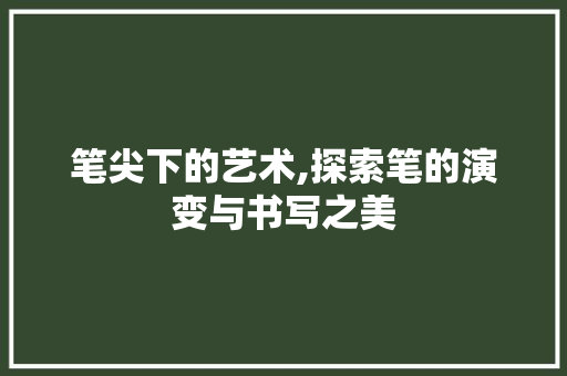 笔尖下的艺术,探索笔的演变与书写之美