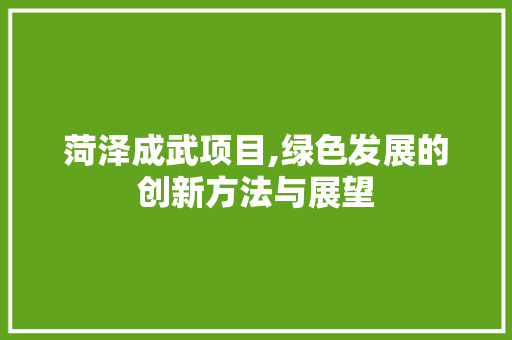 菏泽成武项目,绿色发展的创新方法与展望