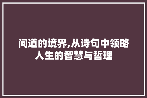 问道的境界,从诗句中领略人生的智慧与哲理 近义词汇