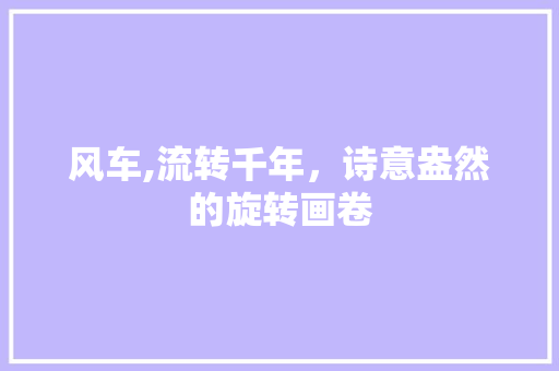 风车,流转千年，诗意盎然的旋转画卷