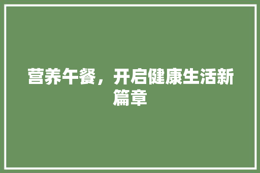 营养午餐，开启健康生活新篇章