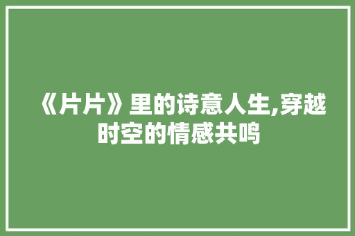 《片片》里的诗意人生,穿越时空的情感共鸣