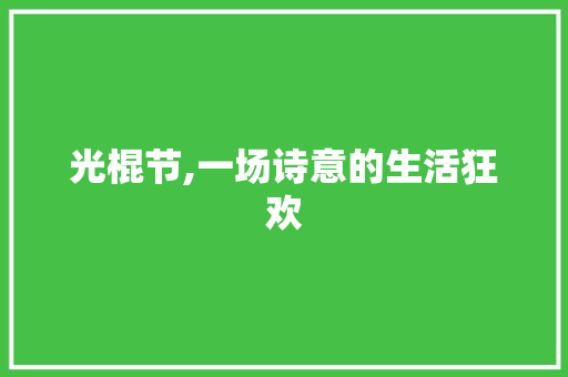 光棍节,一场诗意的生活狂欢