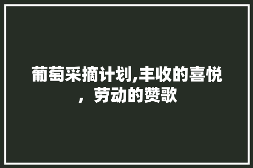 葡萄采摘计划,丰收的喜悦，劳动的赞歌