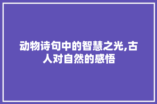动物诗句中的智慧之光,古人对自然的感悟