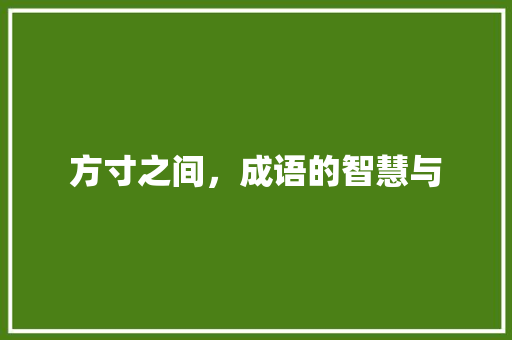 方寸之间，成语的智慧与