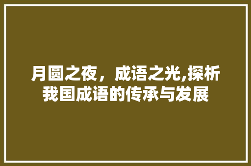 月圆之夜，成语之光,探析我国成语的传承与发展