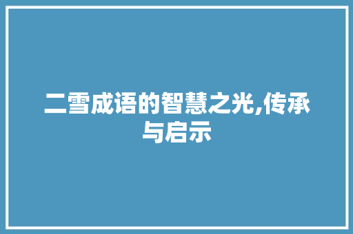 二雪成语的智慧之光,传承与启示