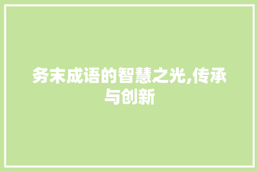 务末成语的智慧之光,传承与创新 英语单词