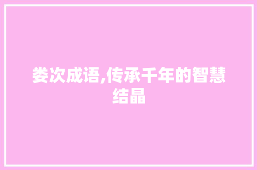 娄次成语,传承千年的智慧结晶