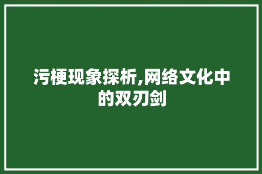 污梗现象探析,网络文化中的双刃剑