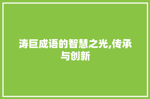 涛巨成语的智慧之光,传承与创新