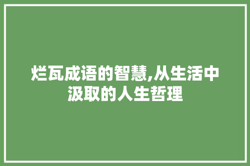 烂瓦成语的智慧,从生活中汲取的人生哲理 短语