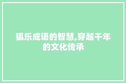 狐乐成语的智慧,穿越千年的文化传承