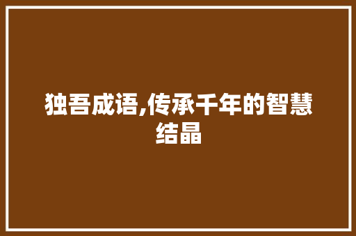 独吾成语,传承千年的智慧结晶