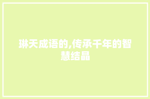 琳天成语的,传承千年的智慧结晶