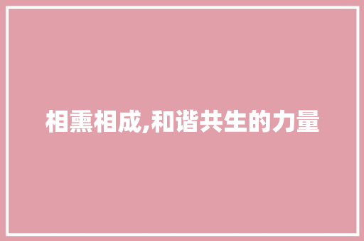 相熏相成,和谐共生的力量 反义词汇