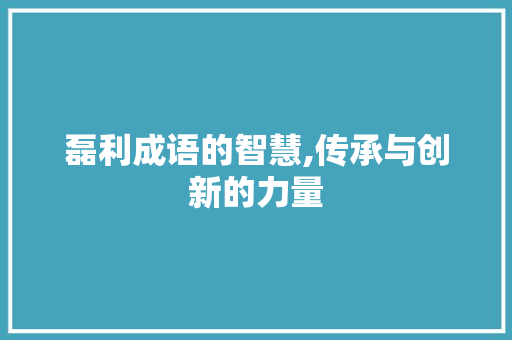 磊利成语的智慧,传承与创新的力量