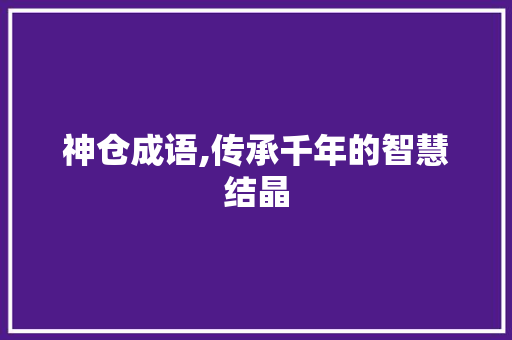 神仓成语,传承千年的智慧结晶