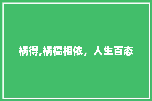 祸得,祸福相依，人生百态 古代典籍
