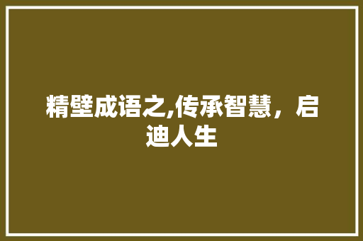 精壁成语之,传承智慧，启迪人生