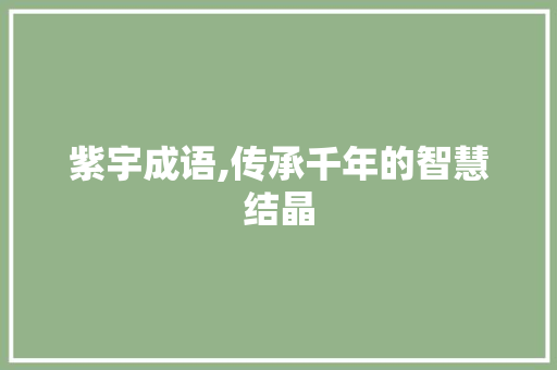 紫宇成语,传承千年的智慧结晶 成语汇编