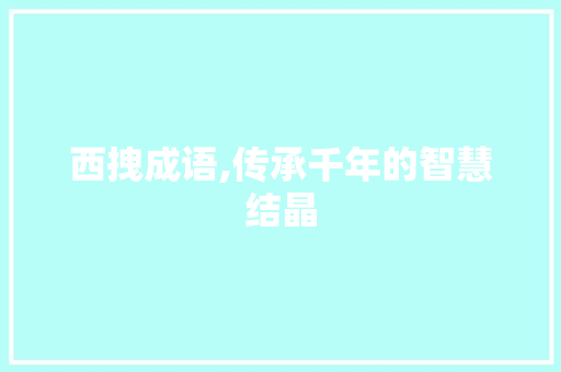 西拽成语,传承千年的智慧结晶
