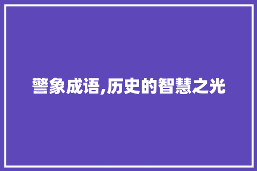 警象成语,历史的智慧之光