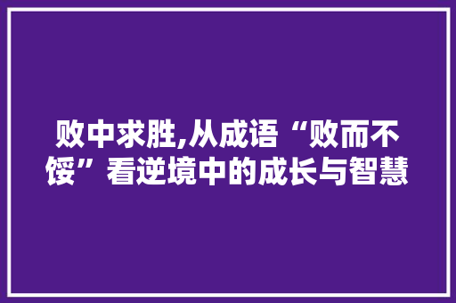 败中求胜,从成语“败而不馁”看逆境中的成长与智慧