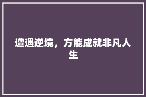 遭遇逆境，方能成就非凡人生