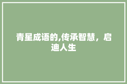 青星成语的,传承智慧，启迪人生