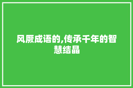 风厥成语的,传承千年的智慧结晶