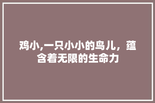 鸡小,一只小小的鸟儿，蕴含着无限的生命力