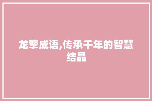 龙擎成语,传承千年的智慧结晶 成语汇编