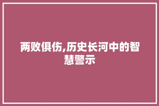 两败俱伤,历史长河中的智慧警示