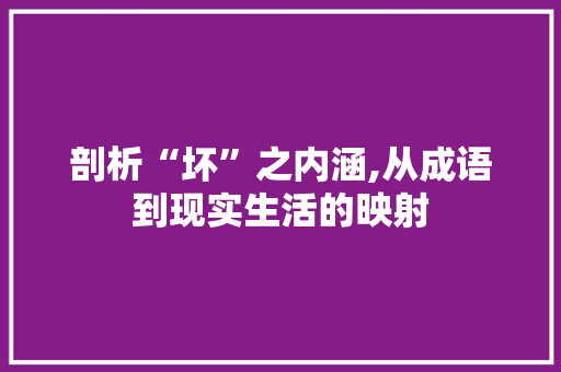 剖析“坏”之内涵,从成语到现实生活的映射