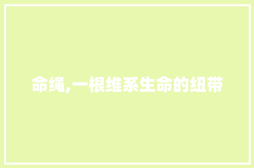 命绳,一根维系生命的纽带