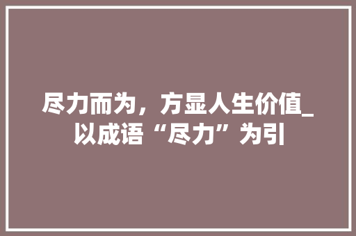 尽力而为，方显人生价值_以成语“尽力”为引